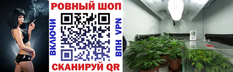 Хочу наркоту Отрадный Псилоцибиновые грибы  СОЛЬ  МЕФ  Гашиш 