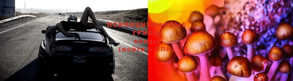 марки lsd Нея