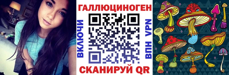 Галлюциногенные грибы Cubensis  сколько стоит  Отрадный 