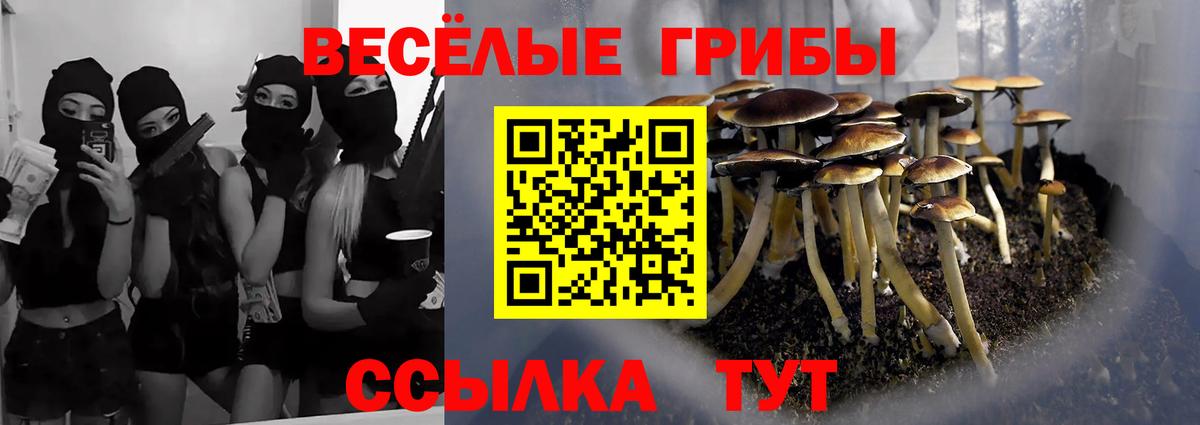 Отрадный  наркотики  Вход с VPN  Галлюциногенные грибы MAGIC MUSHROOMS 